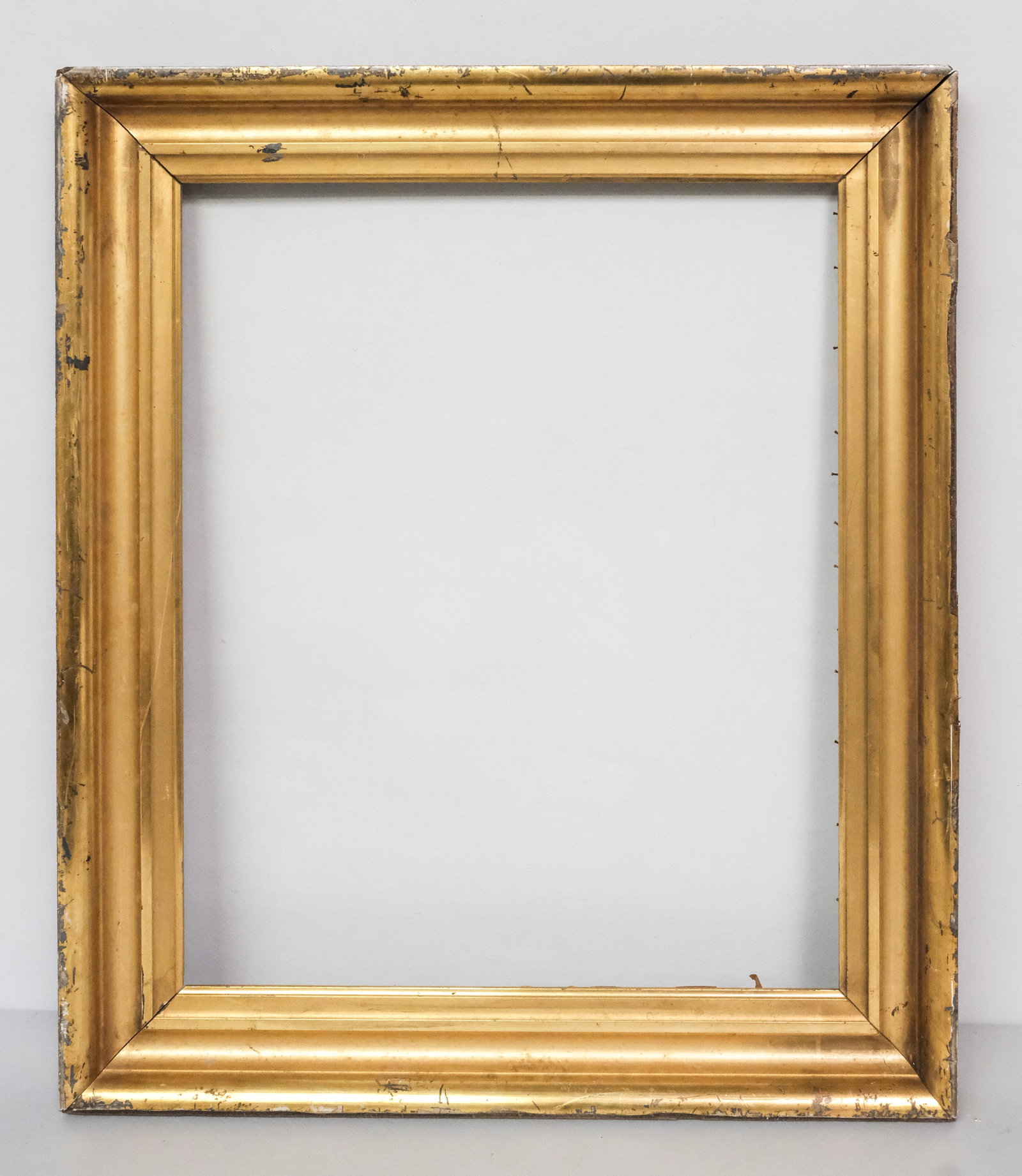 American Lemon Gold Frame 18" x 22" (1 of 4)