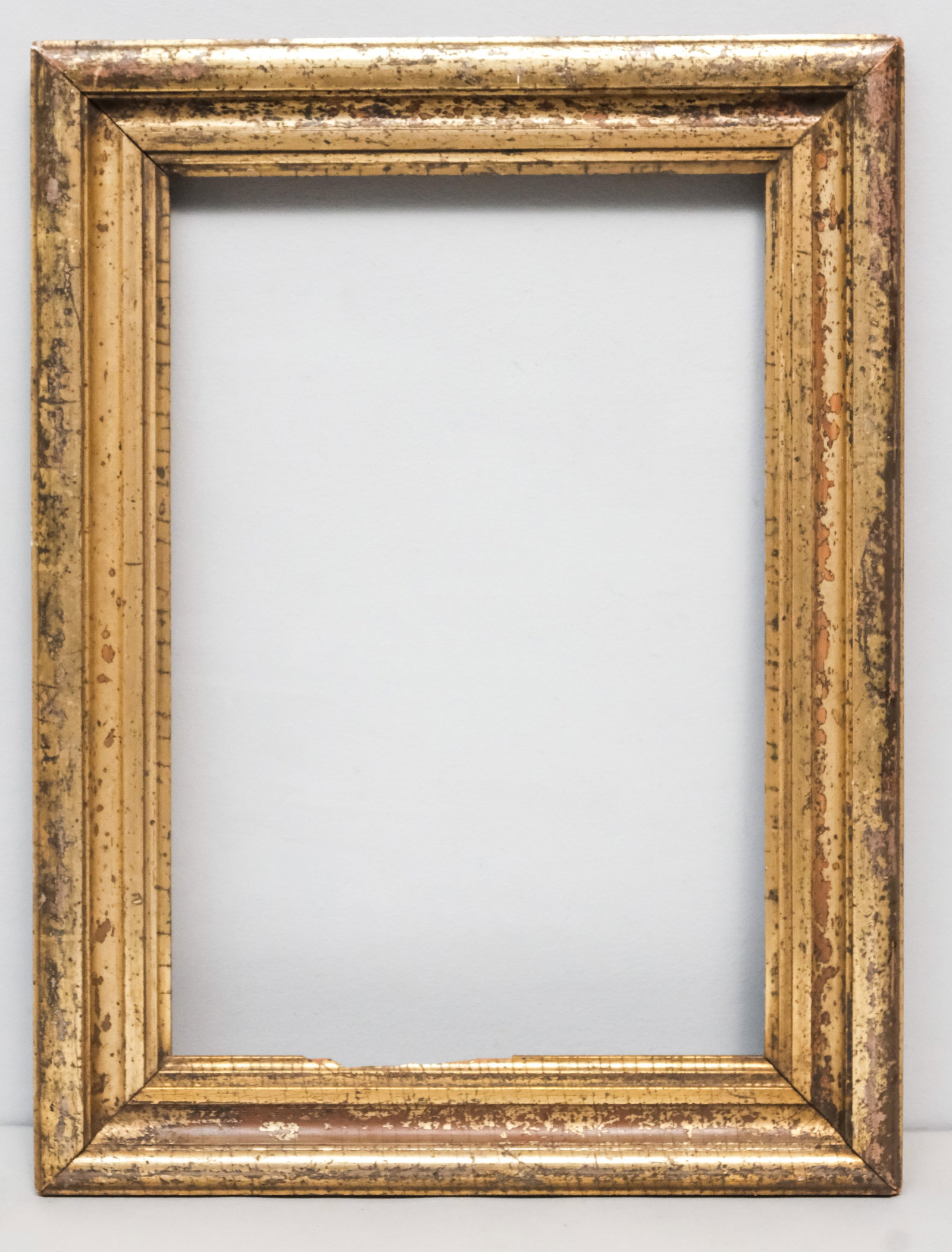 American Lemon Gold Frame 11 1/2" x 17 1/4" (1 of 4)