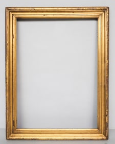 American Lemon Gold Frame 21 1/2" x 29"