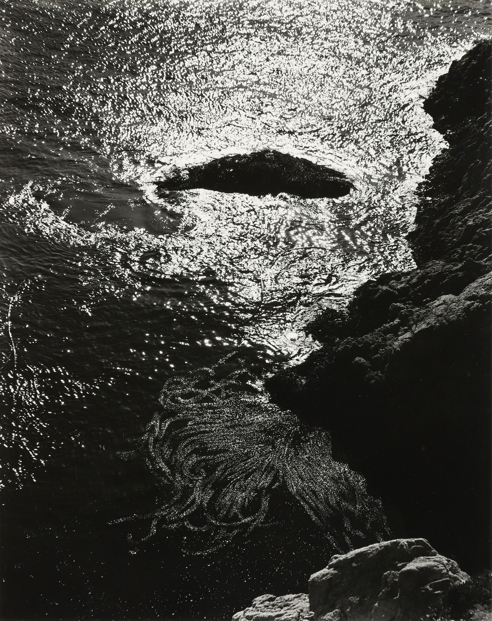 EDWARD WESTON - Kelp, China Cove, Point Lobos, CA, 1940: Signed and stamped mount verso. Printed by Cole Weston. Materials & Techniques: Silver Gelatin
