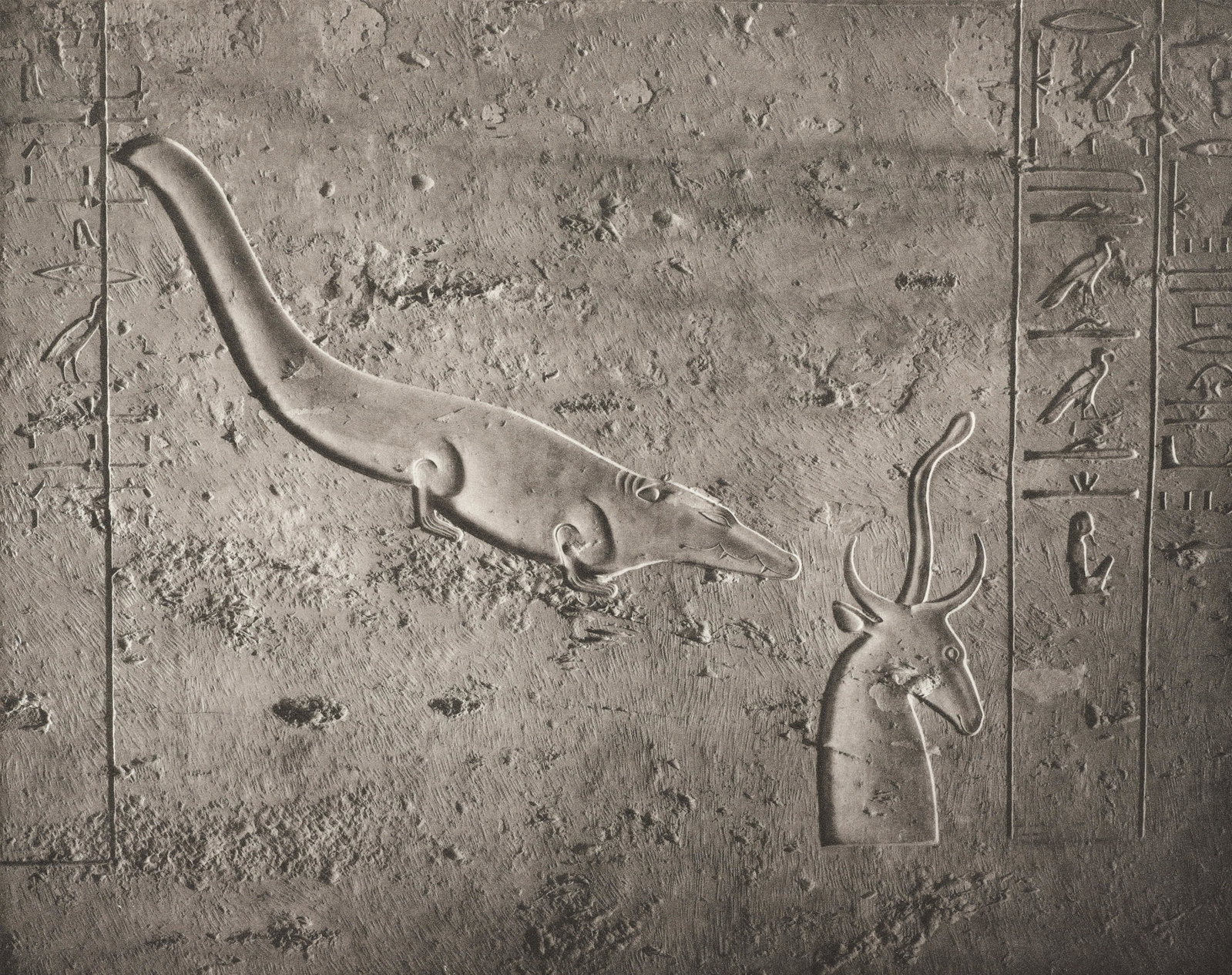 LINDA CONNOR - Crocodile, Egypt, 1989: This handpulled photogravure on Rives du Lin cotton paper was produced in an edition of 50 in the 1990s. This print is signed and number print recto in pencil. Materials & Techniques: Photogravure