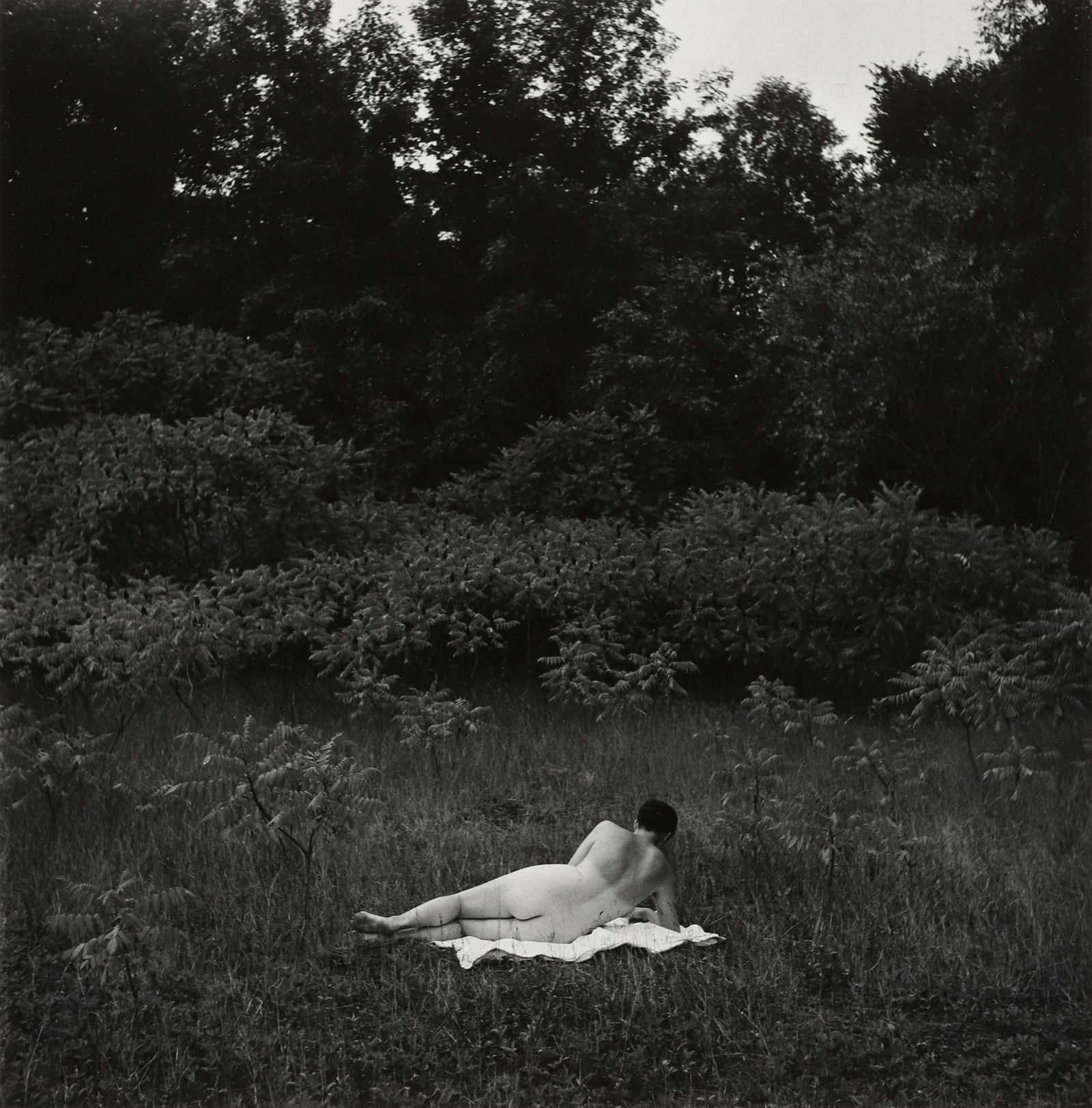 HARRY CALLAHAN - Eleanor, Port Huron, 1954: Signed in pencil mount recto. Materials & Techniques: Silver Gelatin