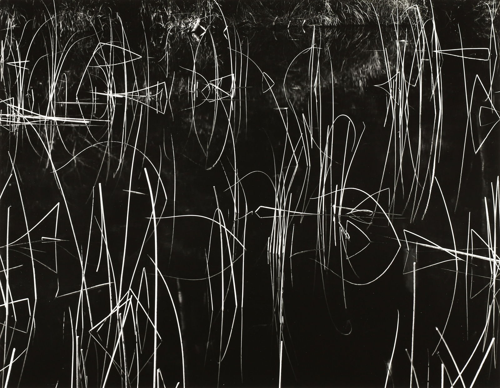 BRETT WESTON - Reeds, Oregon, 1975 (1 of 4)