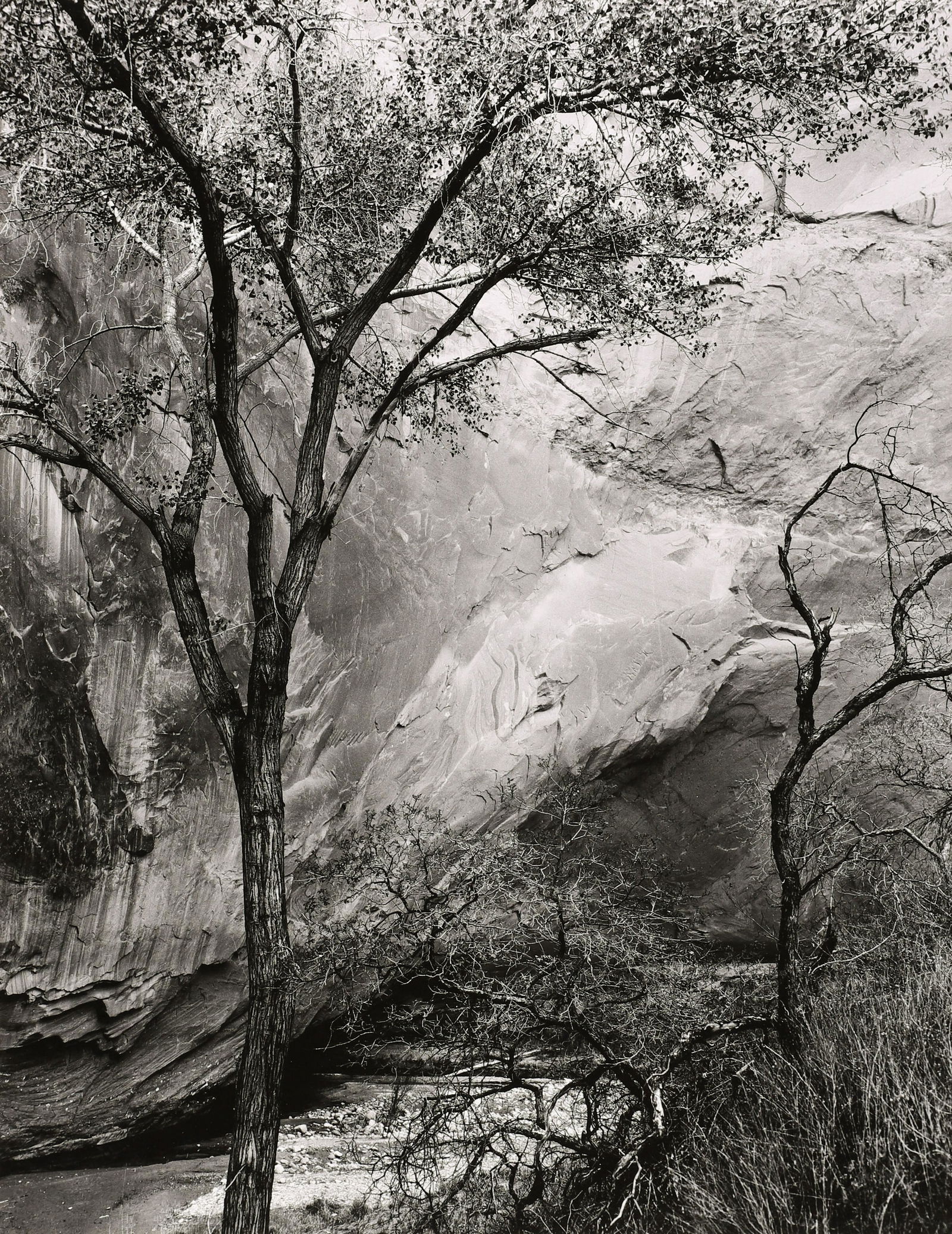 BRETT WESTON - Glen Canyon, Utah, 1959 (1 of 4)