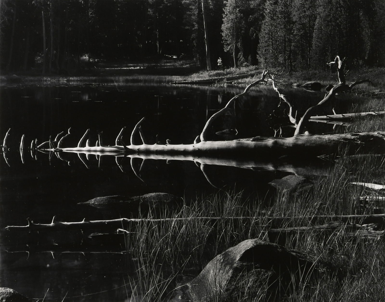 DONALD ROSS - Pool, High Sierra, 1955 (1 of 4)