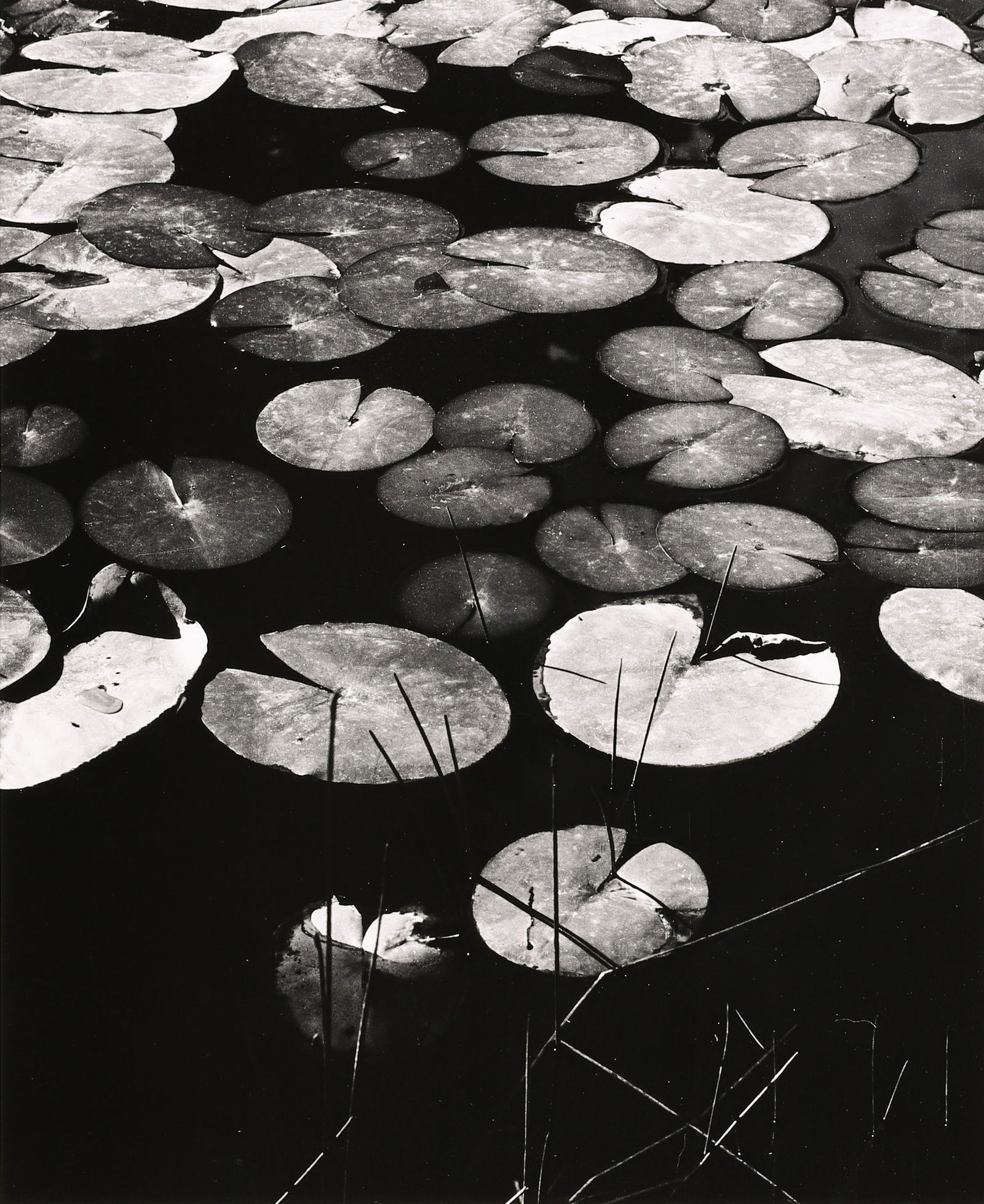 ROBERT K. BYERS - Wawona at Yosemite, 1977: ARTIST: ROBERT K. BYERS TITLE: 'Wawona at Yosemite, 1977' MEDIUM: Vintage Silver Gelatin IMAGE SIZE: 9 3/4 x 7 3/4 in DESCRIPTION: This vintage silver gelatin print is signed and dated in pencil mount