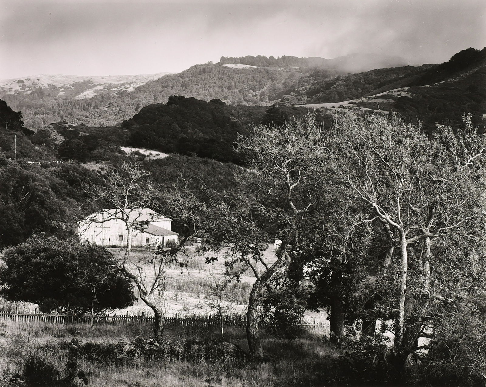 MORLEY BAER - Molera Ranch, Big Sur, 1969 (1 of 4)