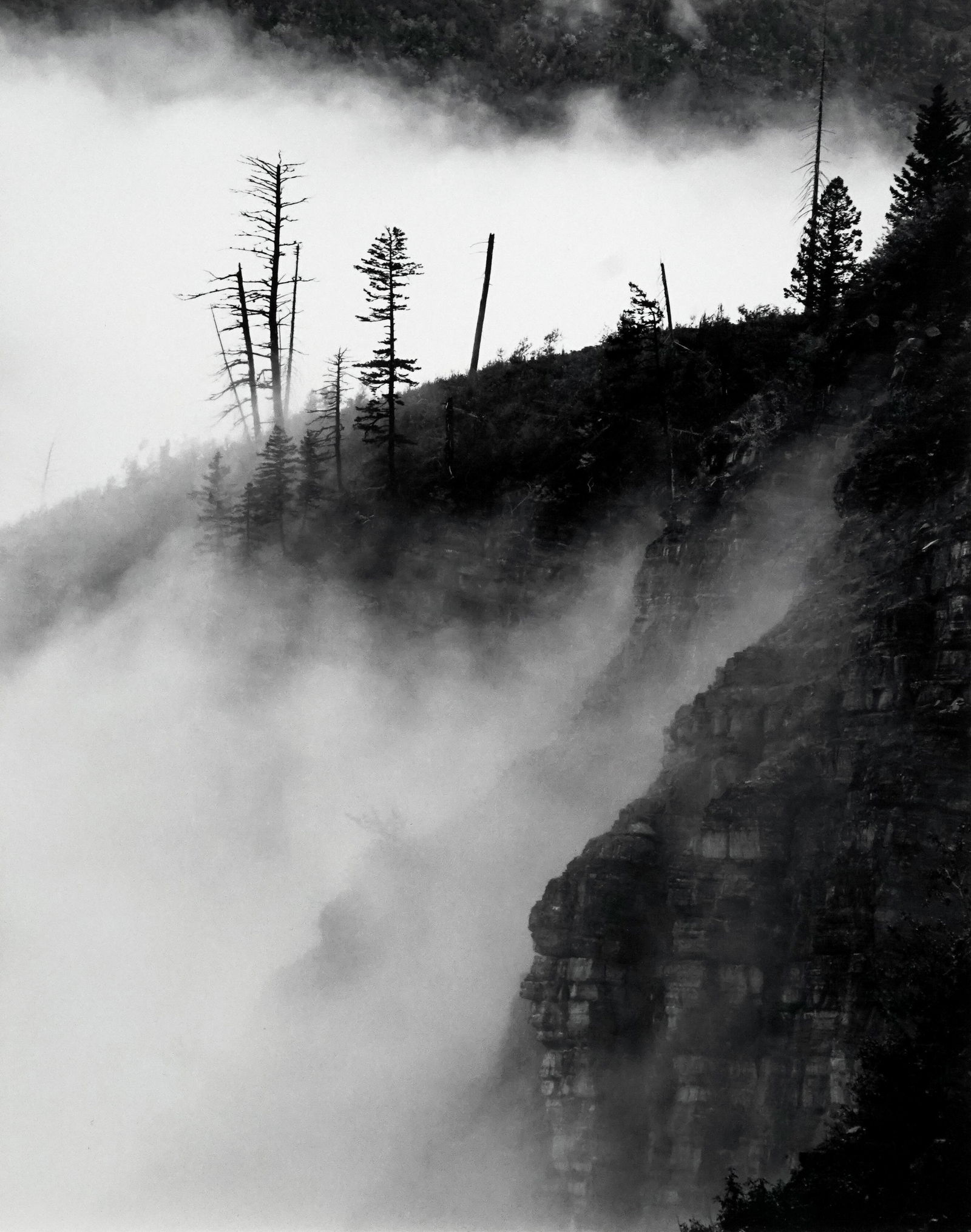 HENRY GILPIN - Coastline in Fog, California, 1982 (1 of 3)