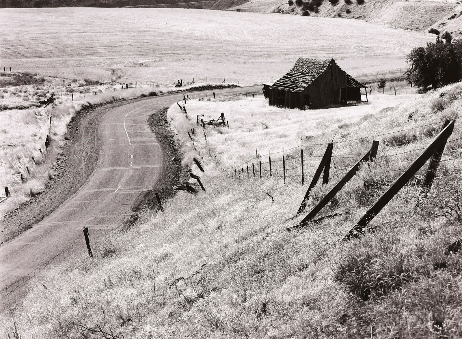 JERRY STEINER - Columbia Gorge Barn, WA, 1980 (1 of 4)