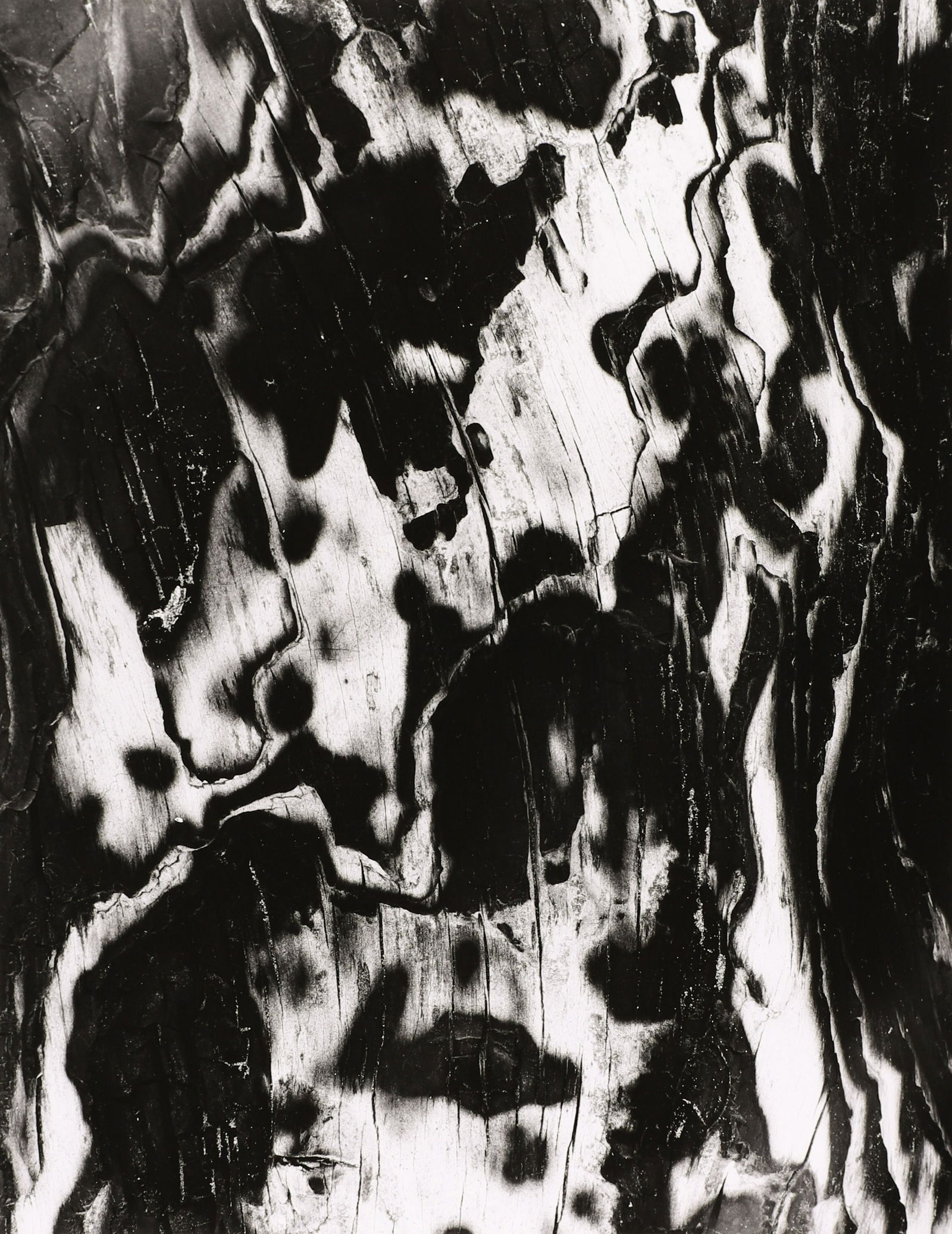BRETT WESTON, ET AL. - Firesite Portfolio, 1992 (1 of 20)
