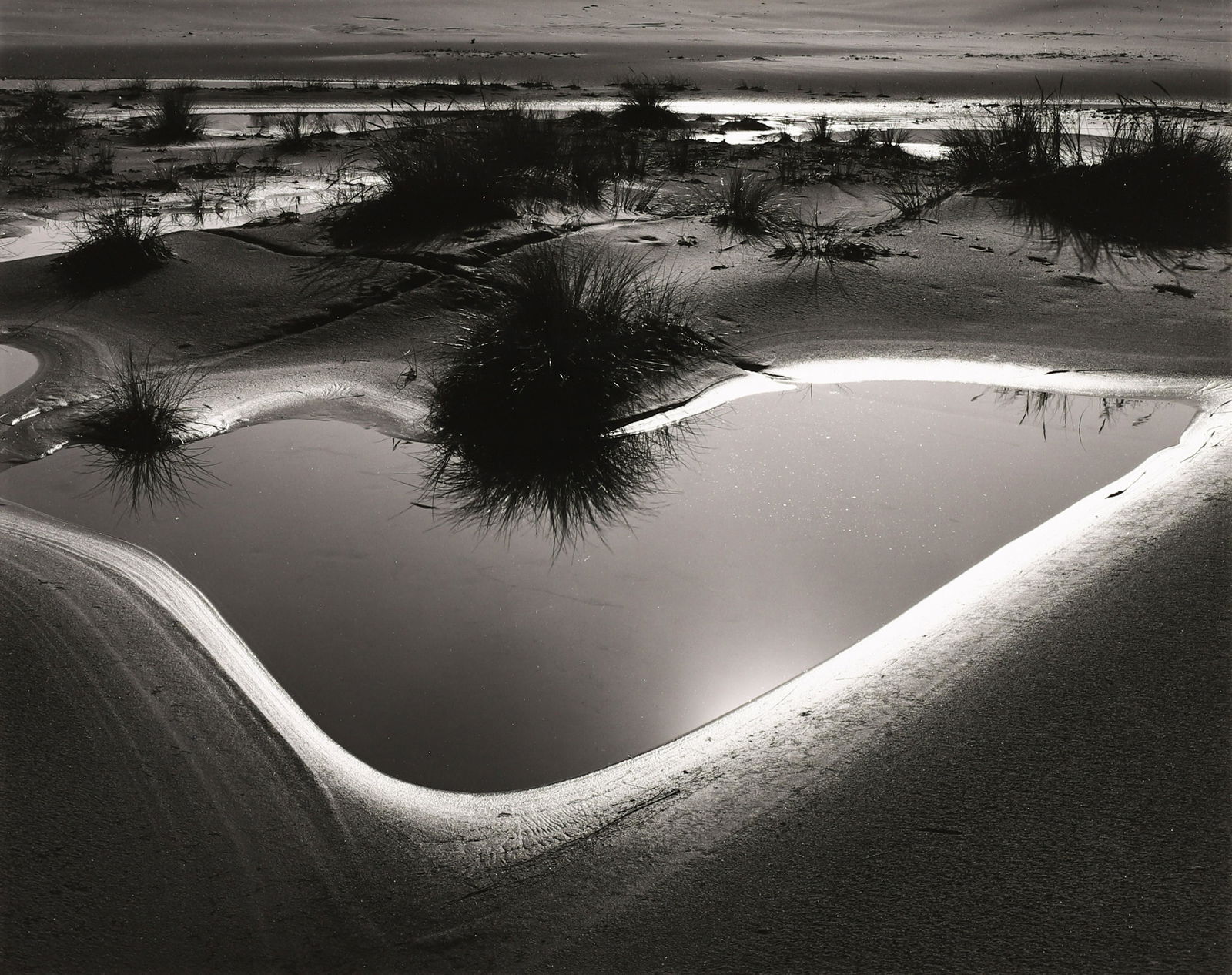 BRETT WESTON - Tide Pool, Oregon, 1974 (1 of 4)