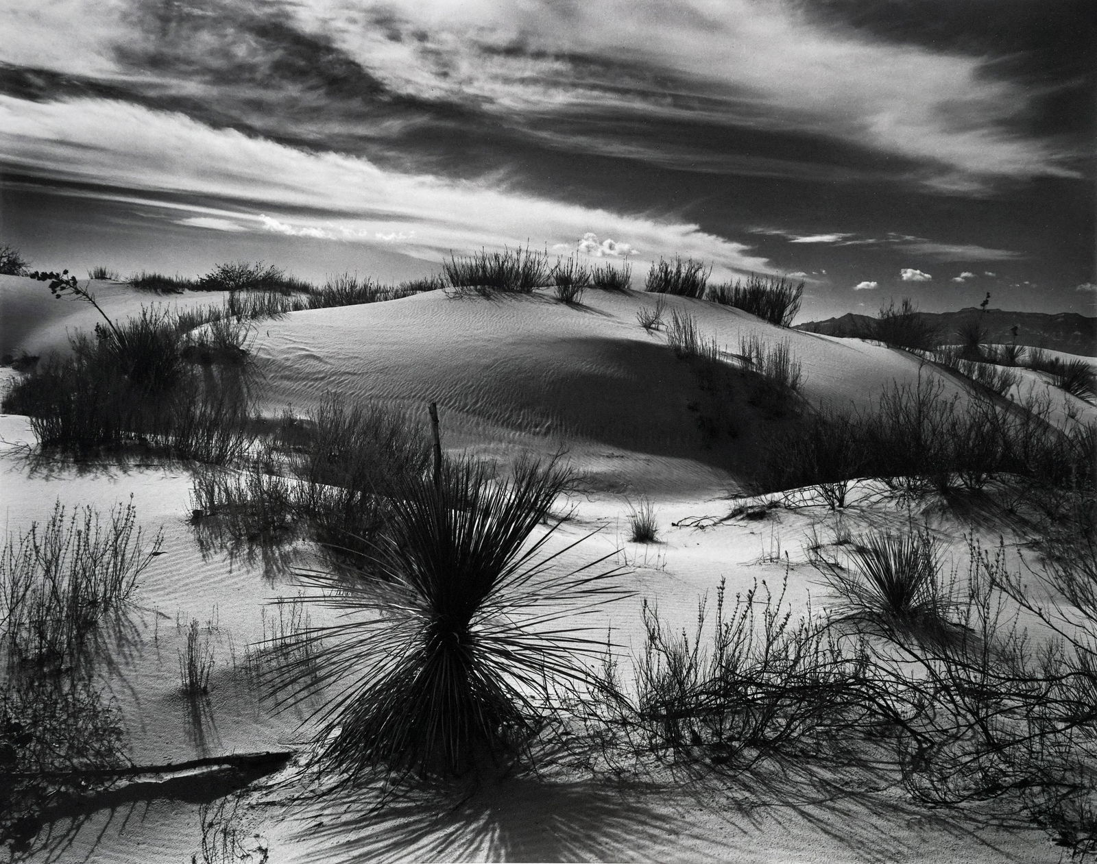 BRETT WESTON - White Sands, New Mexico, 1946 (1 of 3)