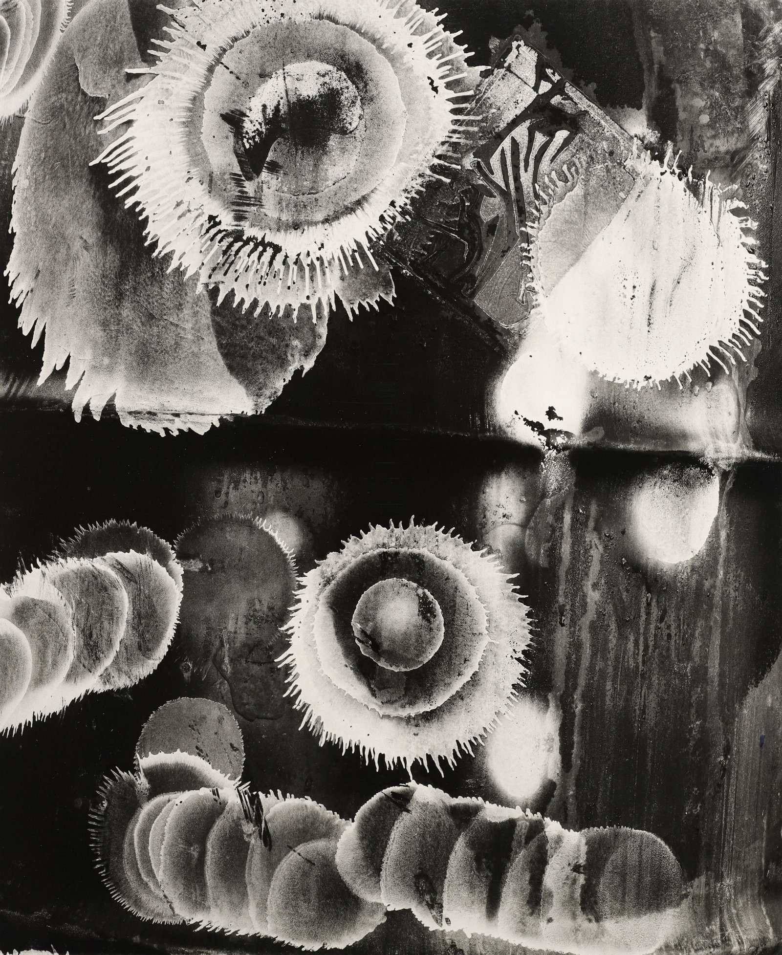 BRETT WESTON - Paint, California, 1985: ARTIST: Brett Weston TITLE: Paint, California, 1985 MEDIUM: Silver Gelatin IMAGE SIZE: 13-1/4 x 10-3/4 in DESCRIPTION: This vintage silver gelatin print is signed and dated in pencil mount recto. COND