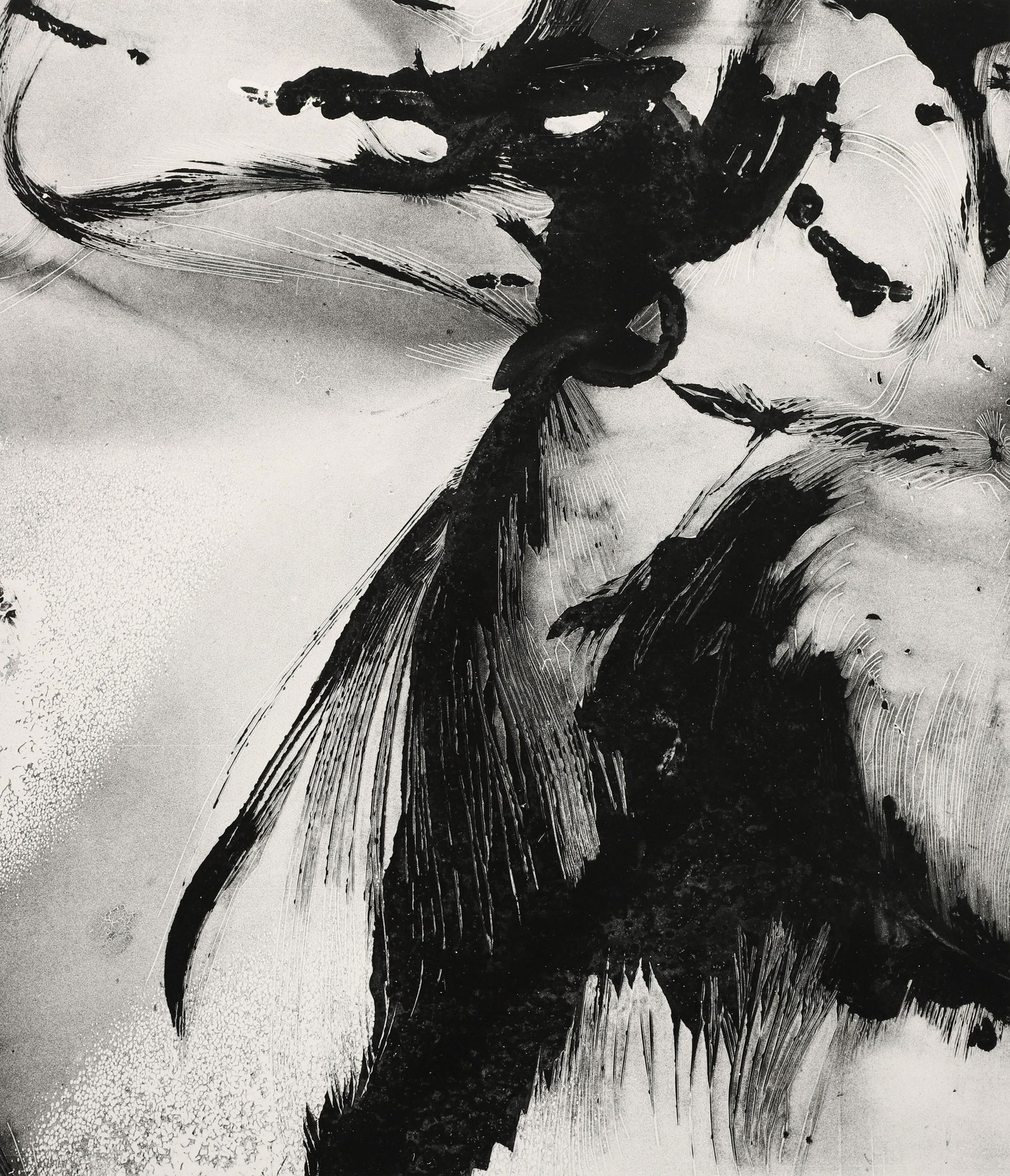 BRETT WESTON - Elegant Gorp, Near Mariposa, CA, 1976 (1 of 2)