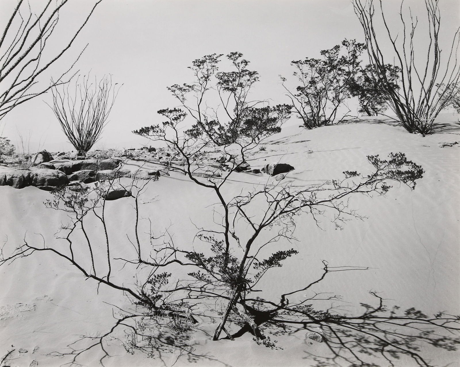 BRETT WESTON - Texas Desert, 1946, (1 of 2)