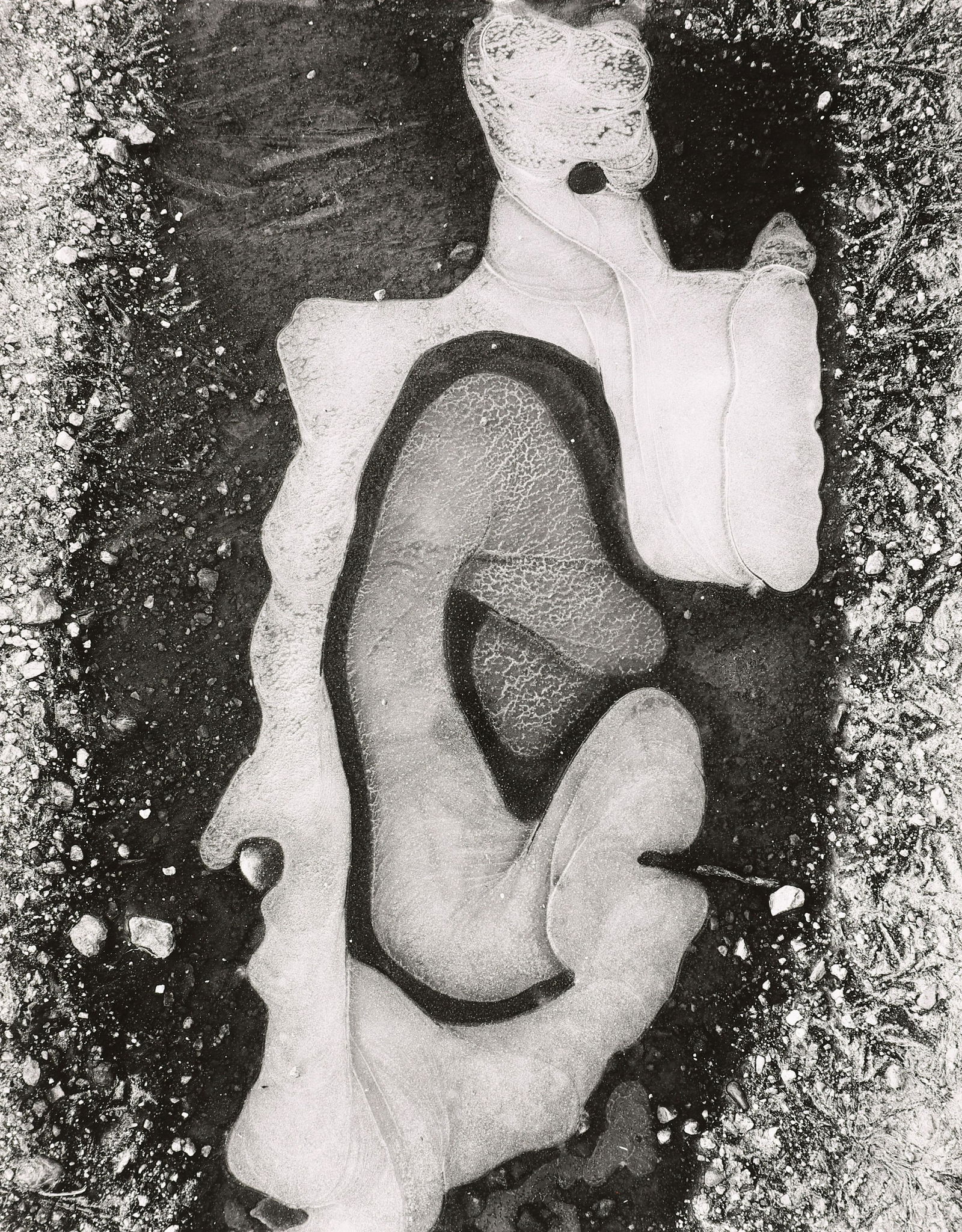 BRETT WESTON - Ice Form, 1956 (1 of 4)