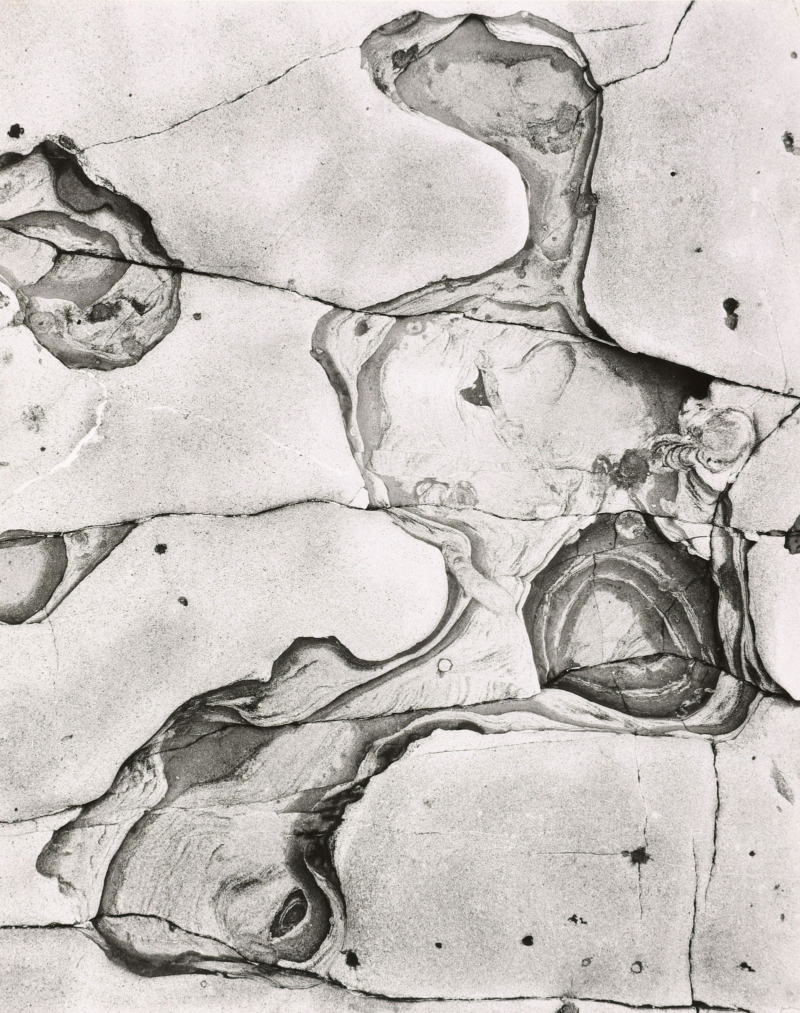 BRETT WESTON - Rock Form, 1960 (1 of 4)