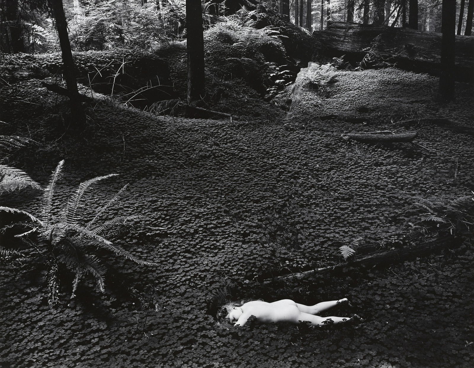 WYNN BULLOCK - Child in Forest, 1951, (1 of 4)