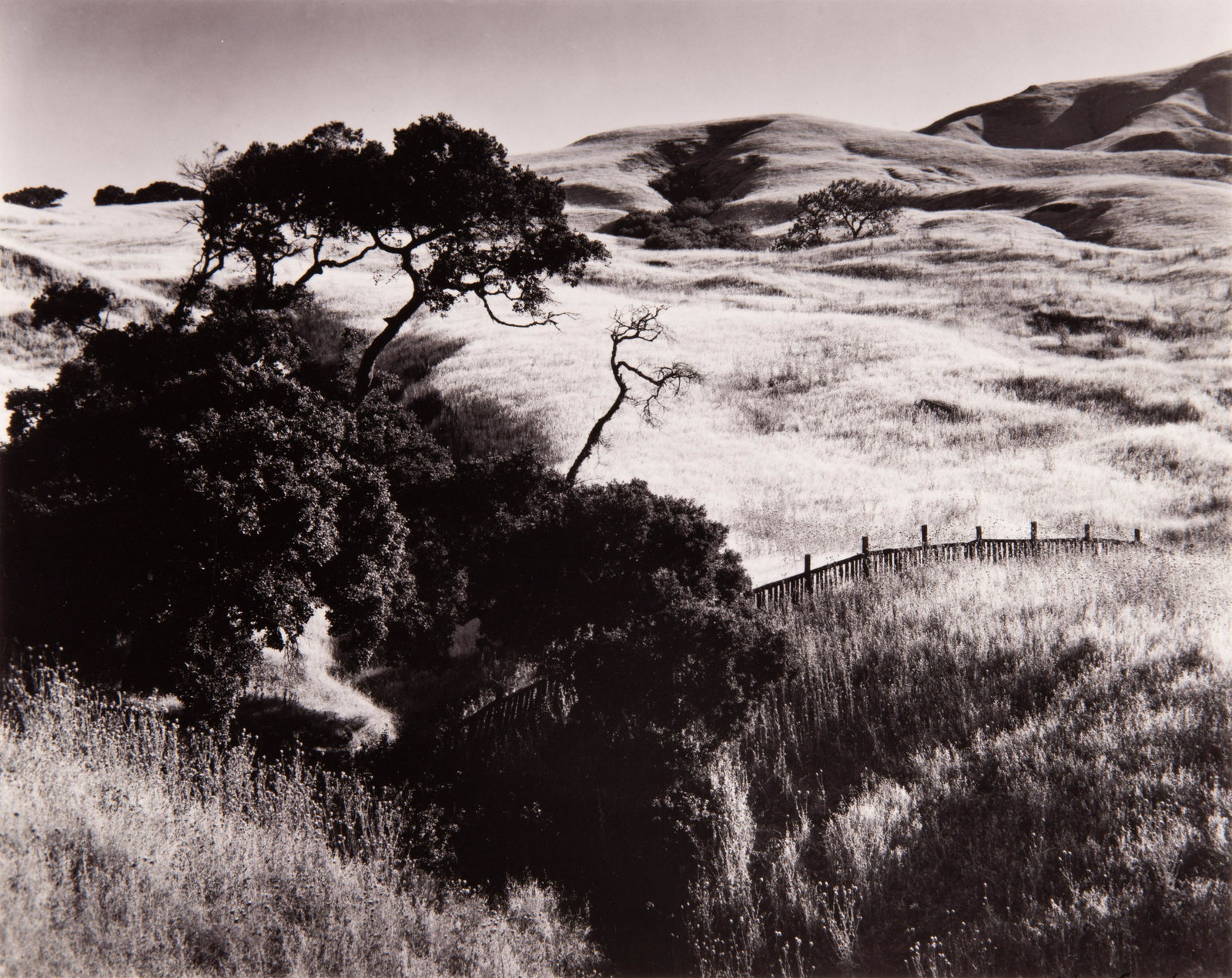 MORLEY BAER - The Wilder Shore, 1967: ARTIST: Morley Baer TITLE: The Wilder Shore, 1967 MEDIUM: Hardcover + Silver Gelatin IMAGE SIZE: 7 5/8 x 9 1/2 in DESCRIPTION: This hardcover book with slipcase features a tipped-in silver gelatin pri