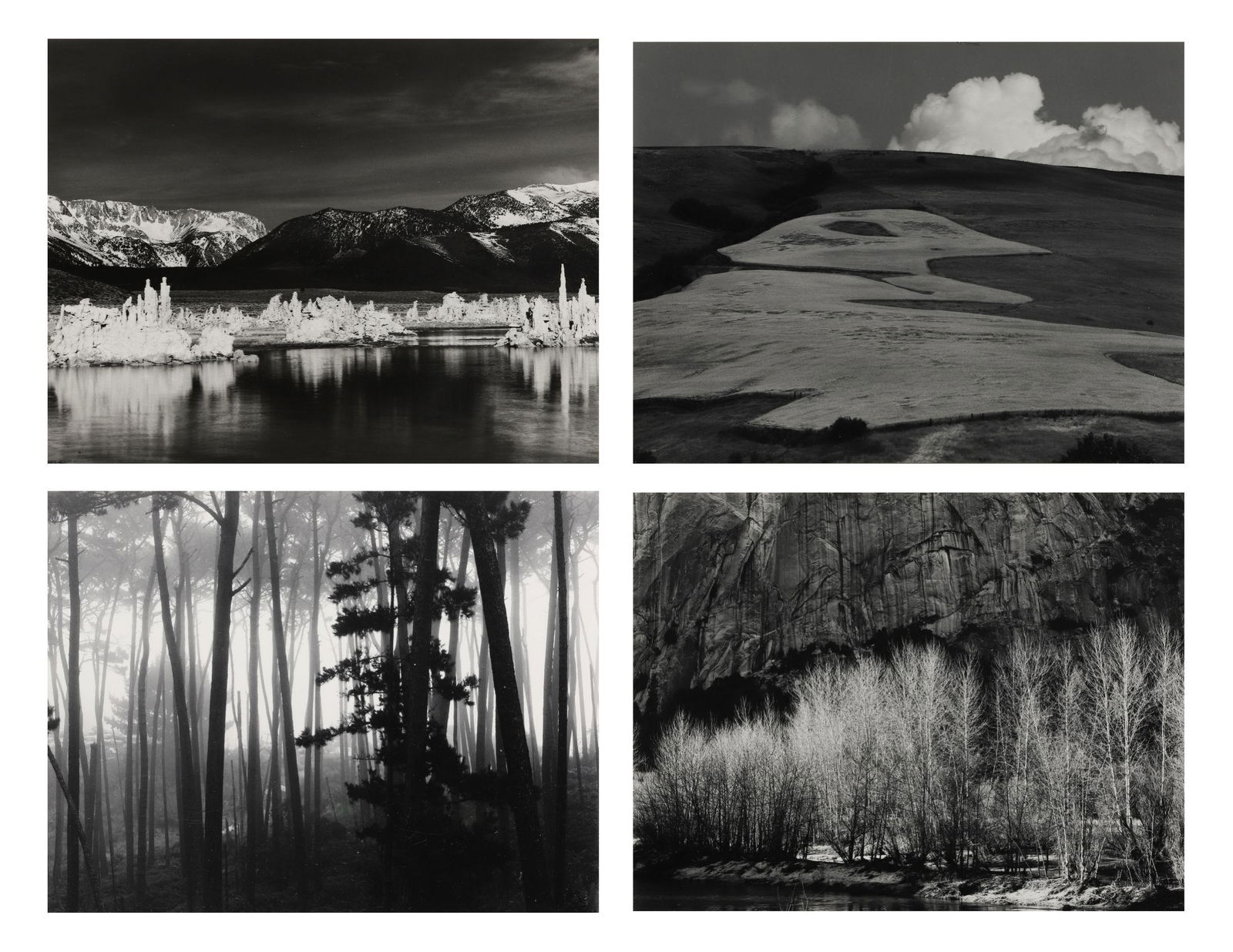 ROBERT K. BYERS - 4 Works - Trees in Fog, Pebble Beach, (1 of 6)