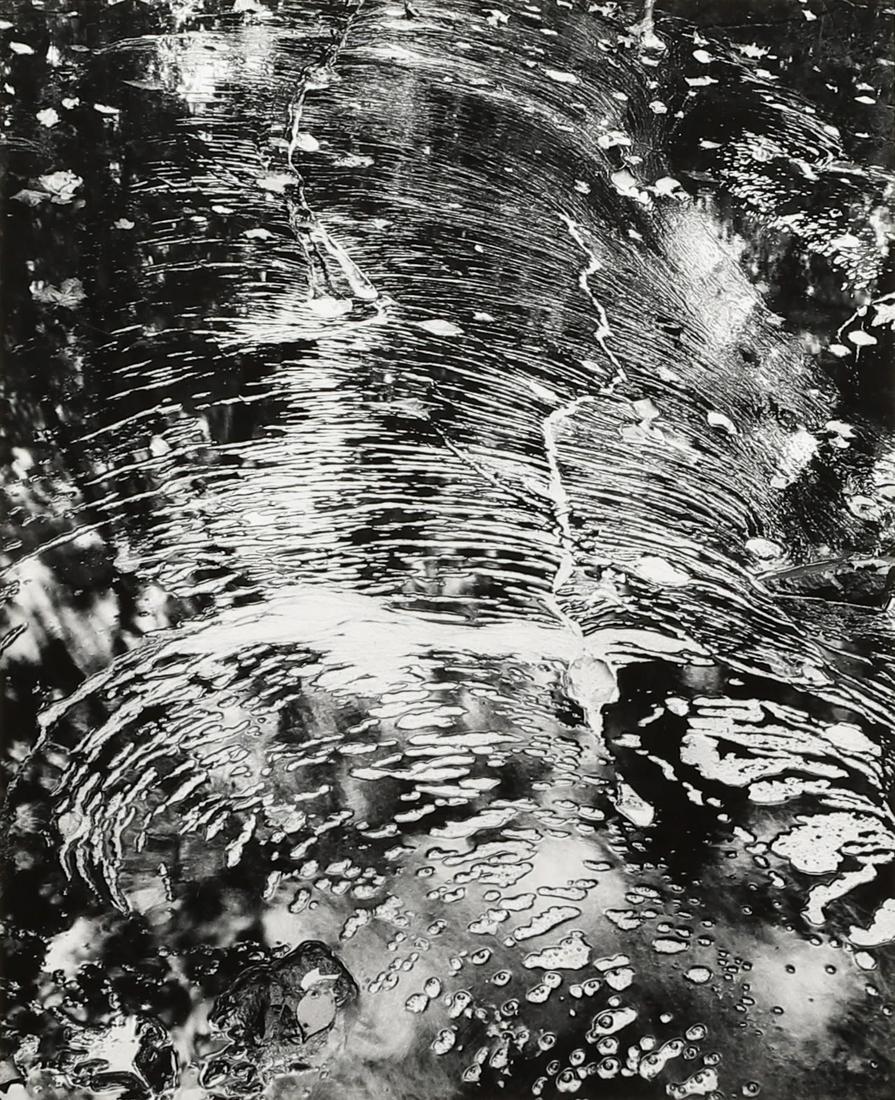 PAUL CAPONIGRO - Foam on Water, Dover, Massachusetts, (1 of 2)
