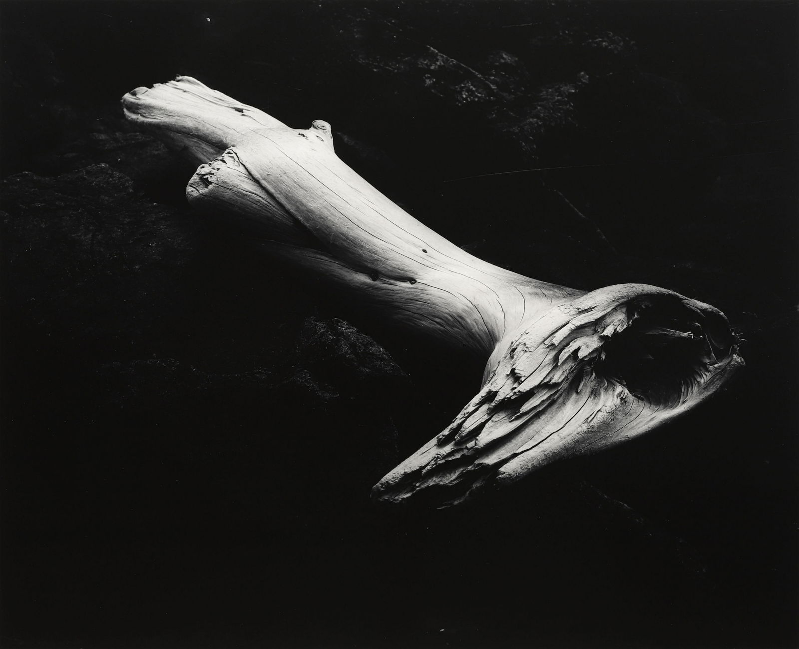 EDNA BULLOCK - Driftwood, 1978 (1 of 2)