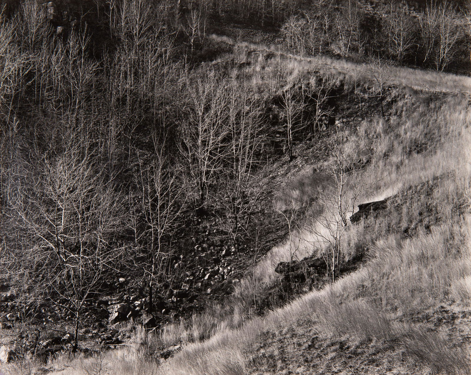 GEORGE TICE - Garret Mountain, Autumn, Paterson, NJ, (1 of 3)