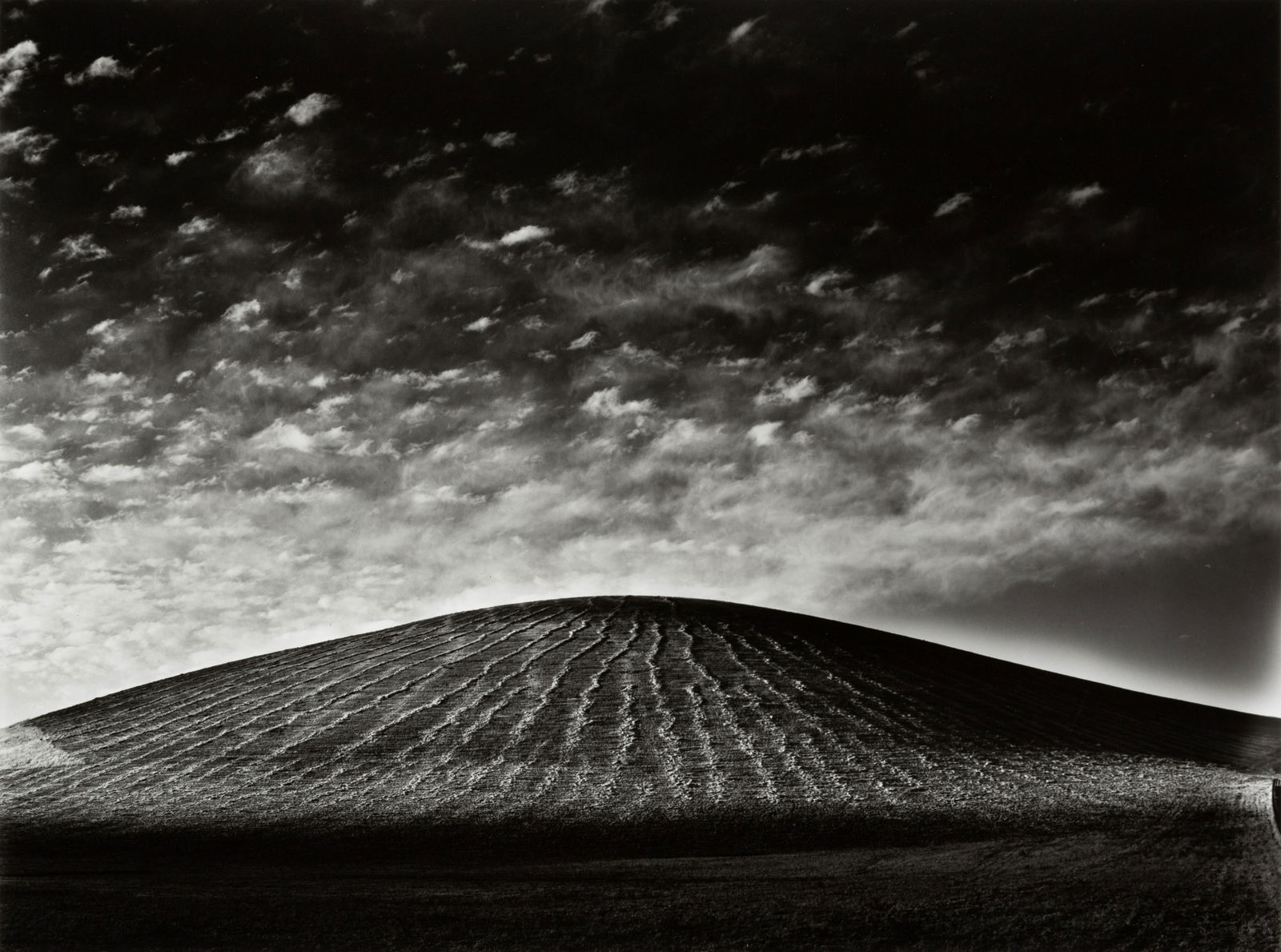 MORLEY BAER - Farm Knoll, Contra Costa, 1970 (1 of 3)