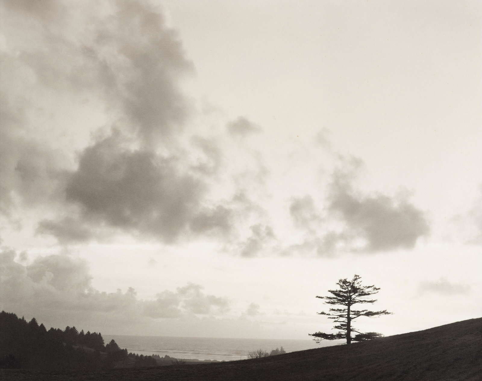 DOUGLAS FRANK - Clouds in the Mountains, 1986 (1 of 5)