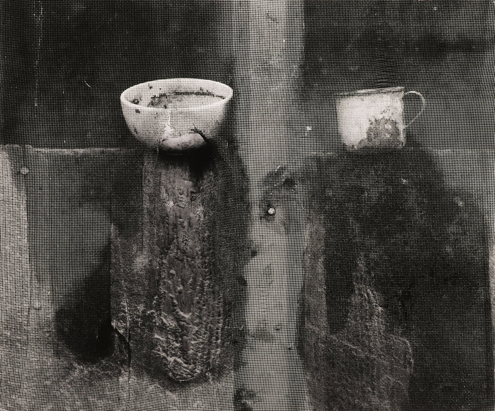 ROGER MINICK - Cups and Screen, 1967 (1 of 3)