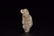 "Lotus boy" handpiece of Hetian jade in Qing Dynasty - 5