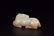 Jade Horse handle of Hetian in Qing Dynasty - 3