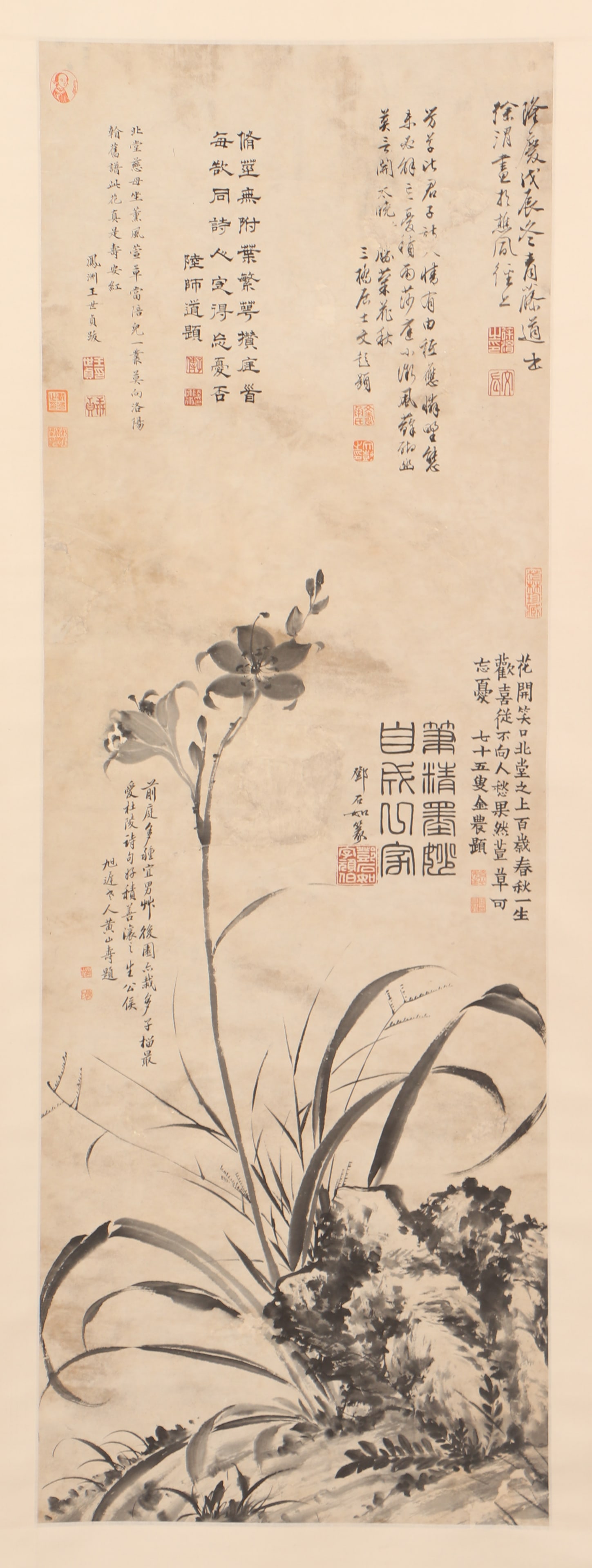 Xu Wei Flower-and-Bird multi-person Elevated Paper Scroll: Name Xu Wei Flower-and-Bird multi-person Elevated Paper Scroll Dimensions 134*46 Condition Additional photographs and condition reports are available upon request as a courtesy to our clients.