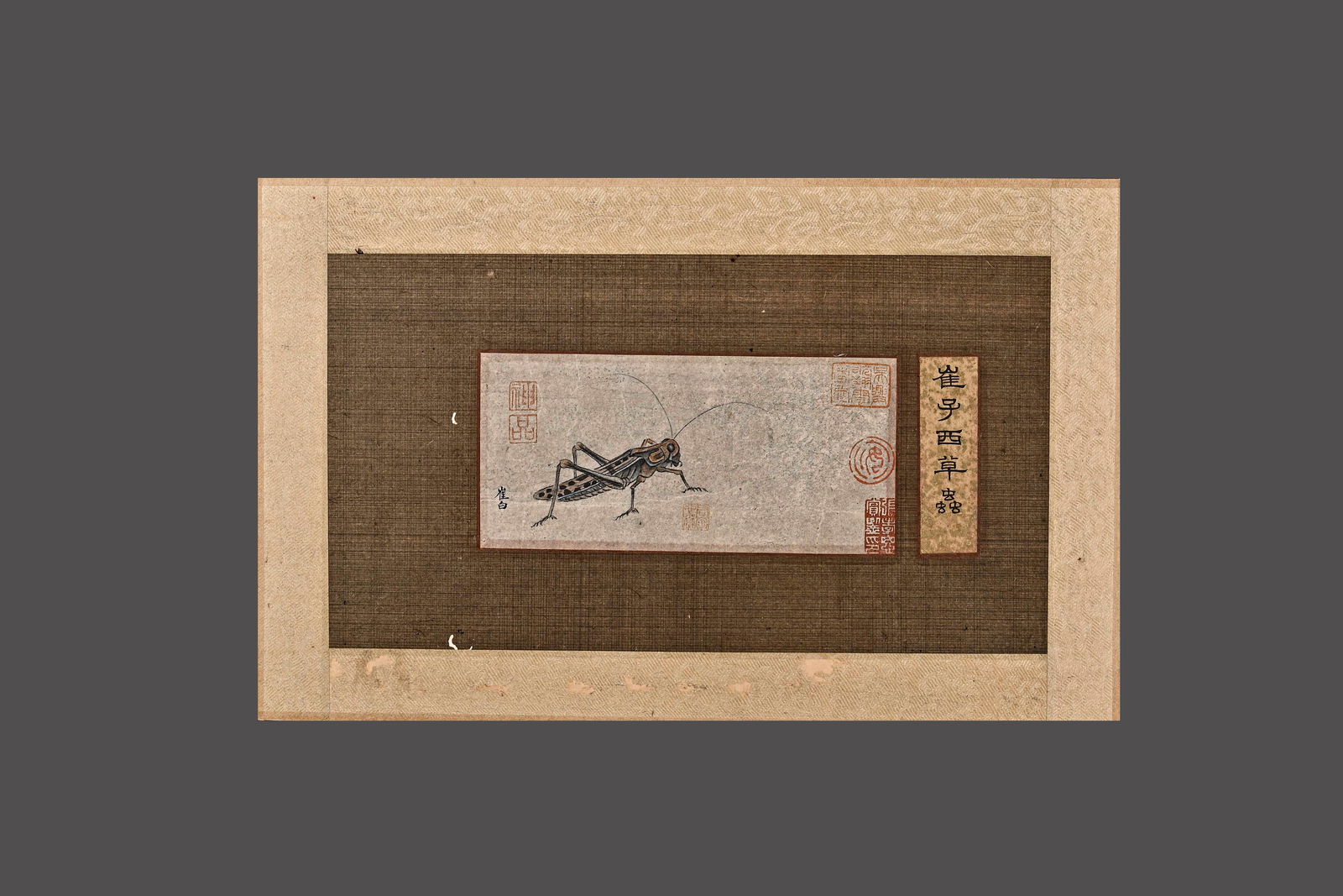 CUI BAI INSECT AND GRASS DRAWING BOOK LENS: Name CUI BAI INSECT AND GRASS DRAWING BOOK LENS Dimensions 8cmX16cm Condition Additional photographs and condition reports are available upon request as a courtesy to our clients. An