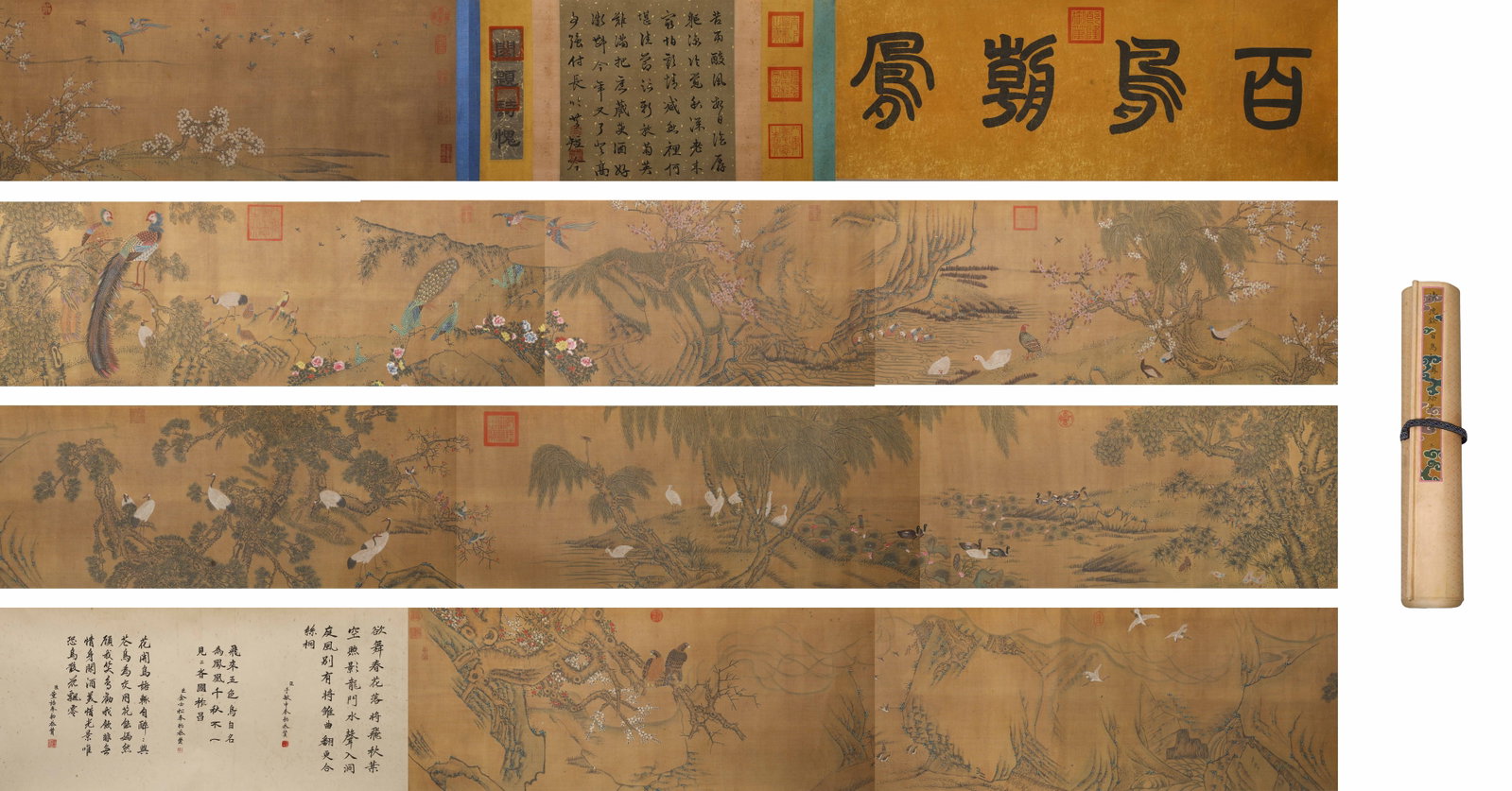 SHEN QUAN OF THE QING DYNASTY (1682-1762) "A HUNDRED BIRDS PAYING HOMAGE TO THE PHOENIX" ON SILK, A: L:1500cm (590.55in) W:43cm (16.93in)This fine-line heavy-color flower-and-bird long scroll on silk dates to the Qing Dynasty, with original pale yellow patterned silk mounting and woven ribbon tie. Th