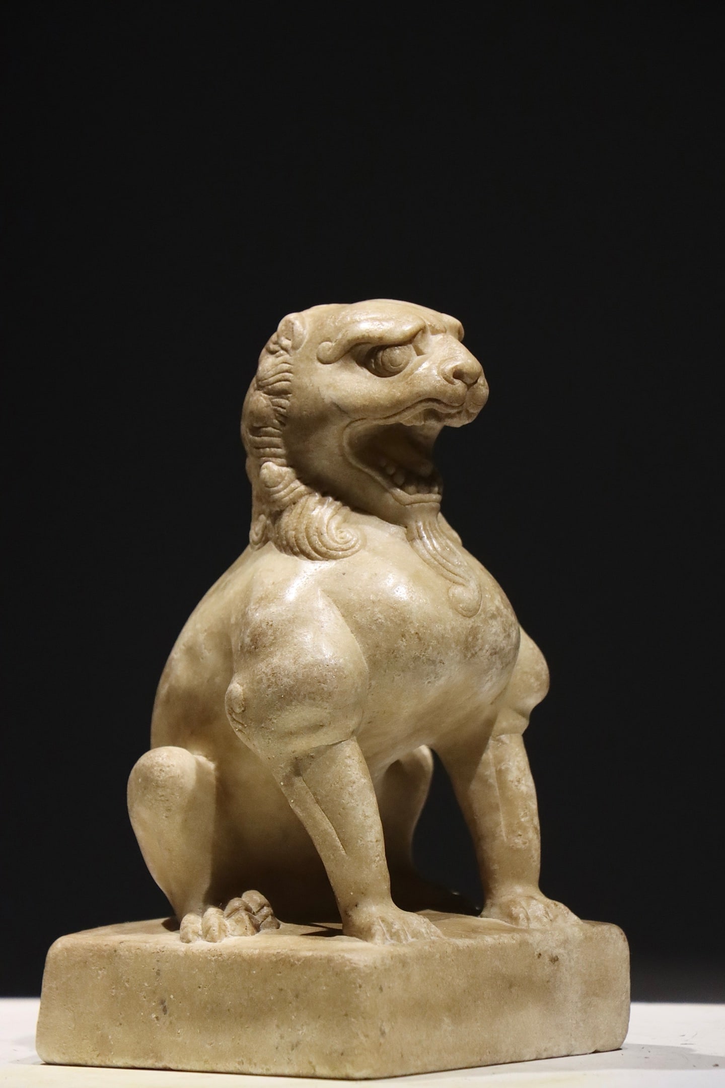 TANG LION - 2