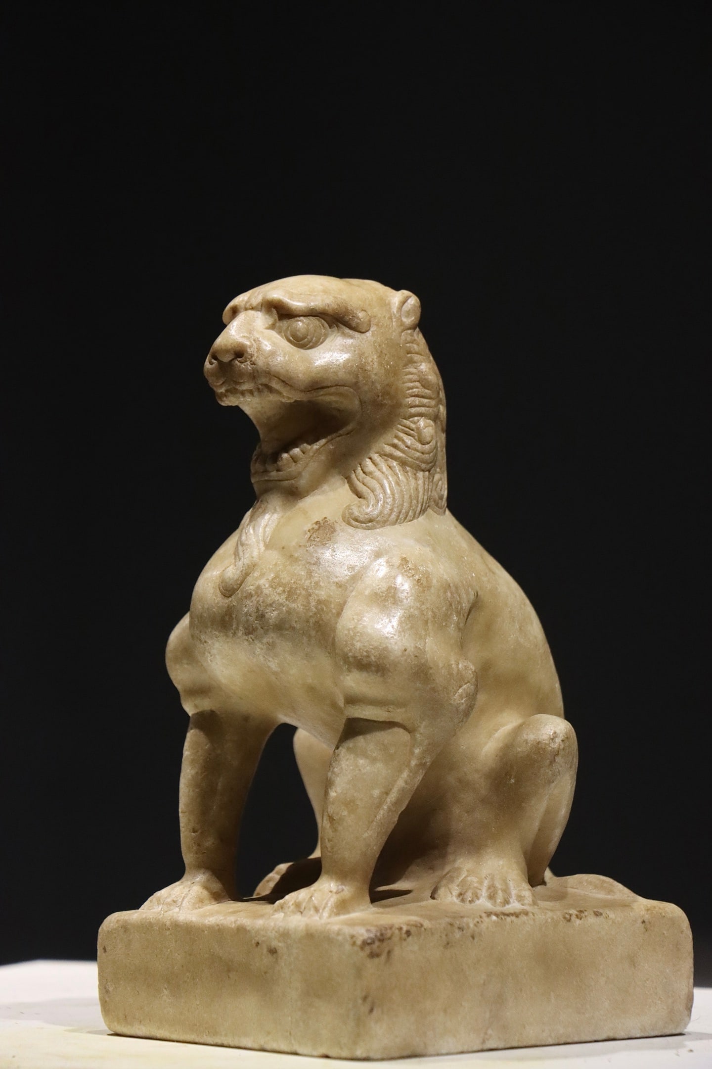 TANG LION - 3