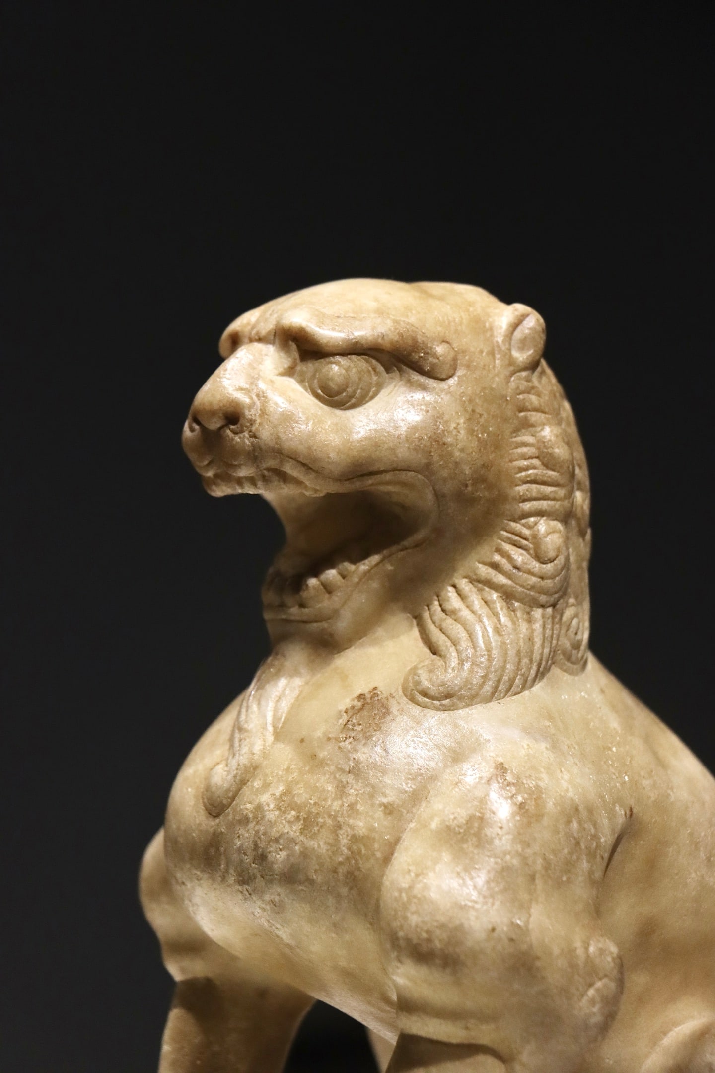 TANG LION - 4