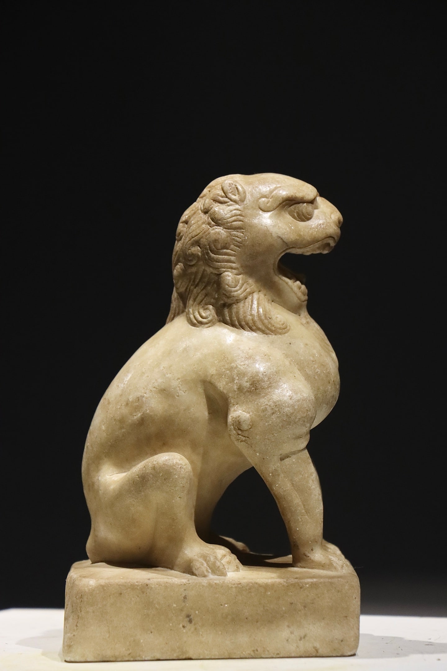TANG LION - 5