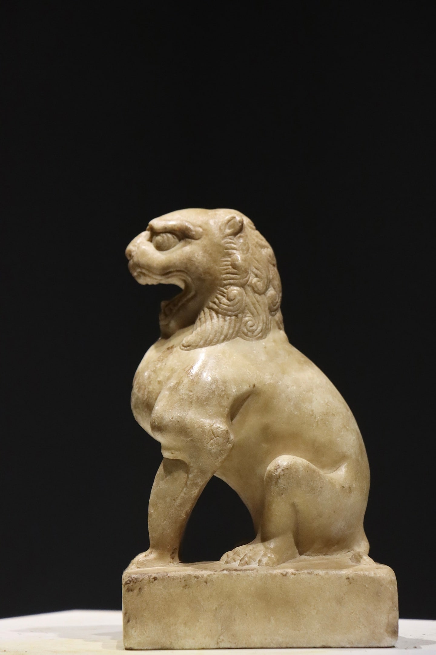 TANG LION - 6