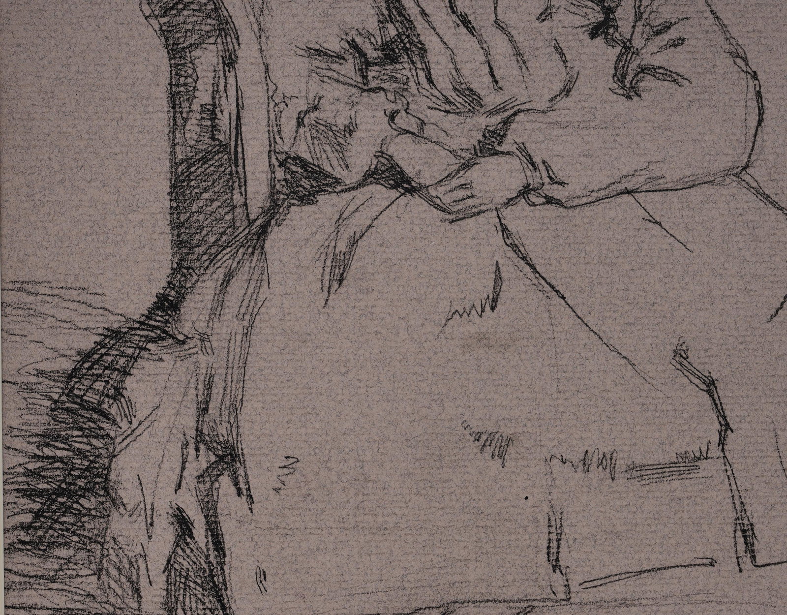 SKETCH MANUSCRIPT - 5