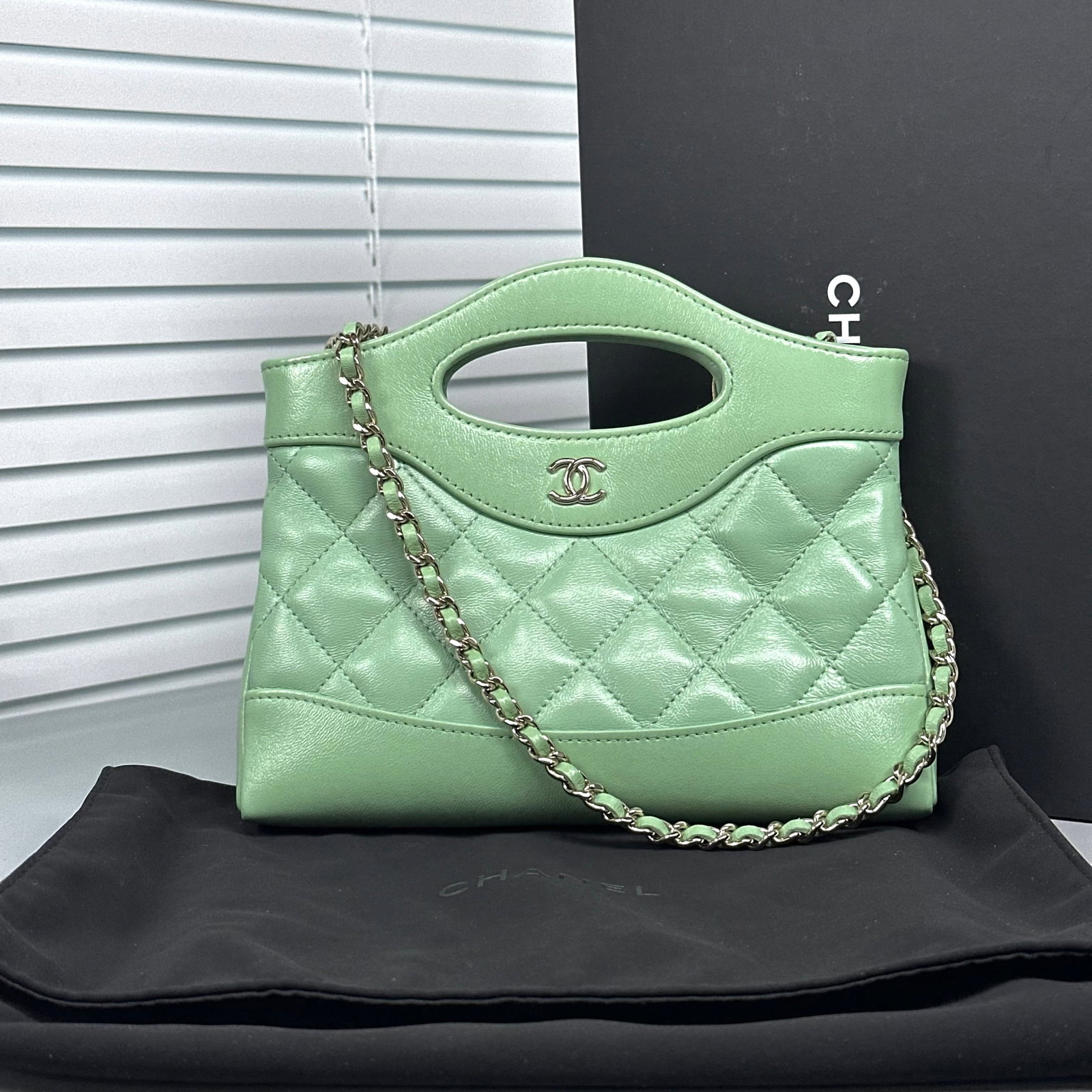 Chanel 31 Bag Nano, Light-Green Waxed Lambskin, Gold-Tone Hardware, Cut-Out Loop Handle, Chain-Strap (1 of 6)