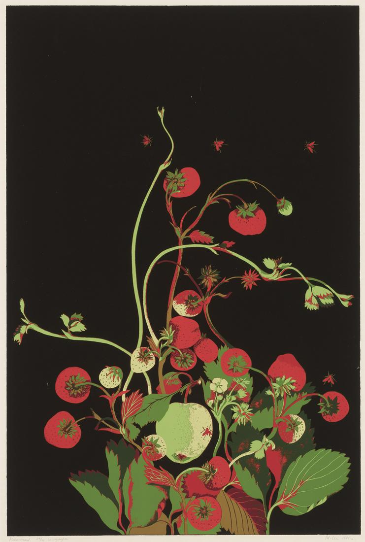 Malle Leis (1940 – 2017) (1 of 7)