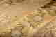 item-131795565=2