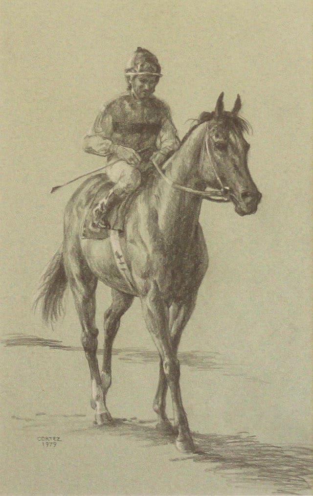 Cortez, Jenness - Horse and Jockey: Jenness Cortez (American, b. 1944) - Horse and Jockey. Pencil. Signed and dated 1979.