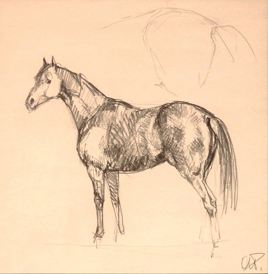 Pater, Andre - Horse Study: Andre Pater (Polish/American, b. 1953) - Horse Study. Pencil. Monogrammed.