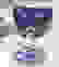 item-62109968=2