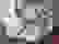 item-62110051=4