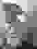 item-62110051=6