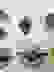 item-62110117=3